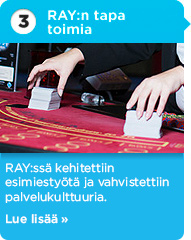 Vuosiraportti - RAY:n tapa toimia